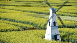 Hoteles en China