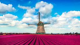Hoteles en Holanda